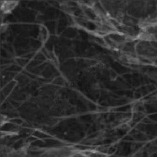 COOH-single-walled-double-walled-carbon-nanotubes-99