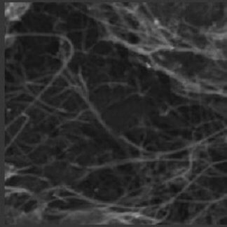 NH2 Functionalized Single Wall-Double Walled Carbon Nanotubes