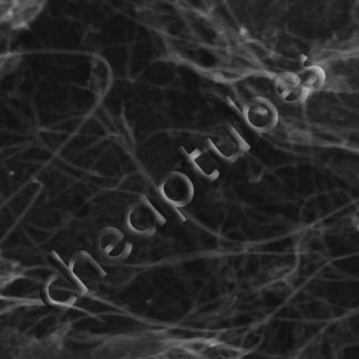 Single Walled-Double Walled Carbon Nanotubes