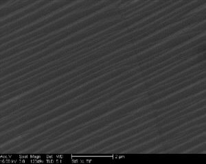 Monolayer Graphene on Your Substrate up to 8-inch (200 mm) Diameter Wafer SEM image