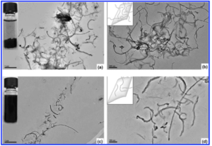 Flexiphene-multi-walled-carbon-nanotubes